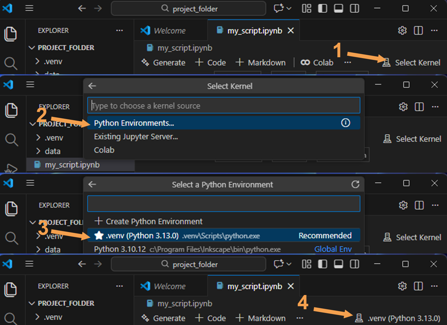 Select the virtual environment